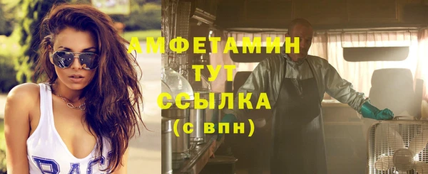 гидра Няндома