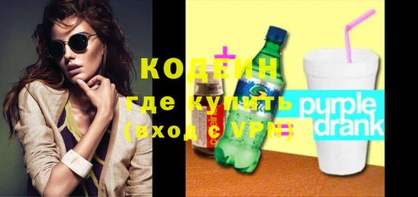 гидра Няндома