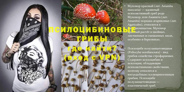 спиды Нягань