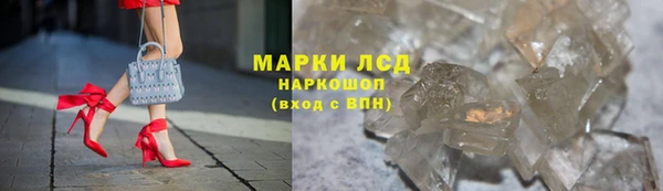 гидра Няндома