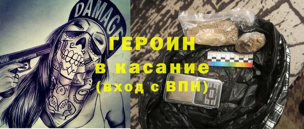 гидра Няндома