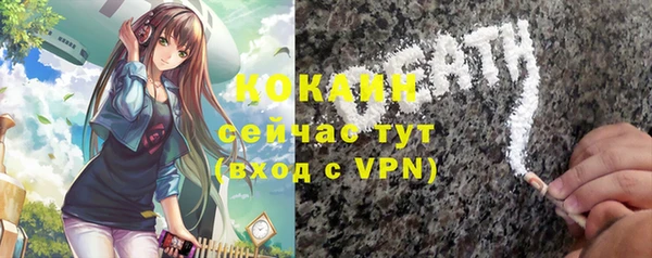 гашик Болотное