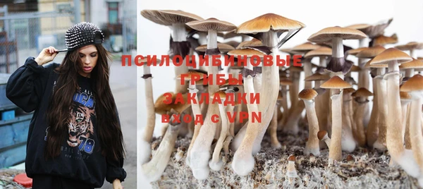 спиды Нягань