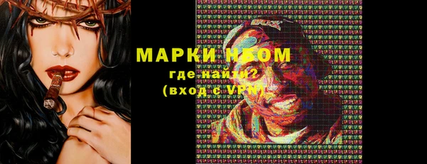 сатива Болхов