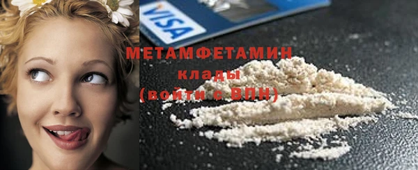 гидра Няндома