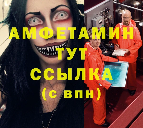 гидра Няндома