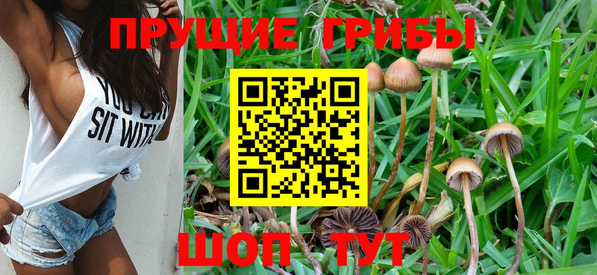 Галлюциногенные грибы GOLDEN TEACHER Чусовой
